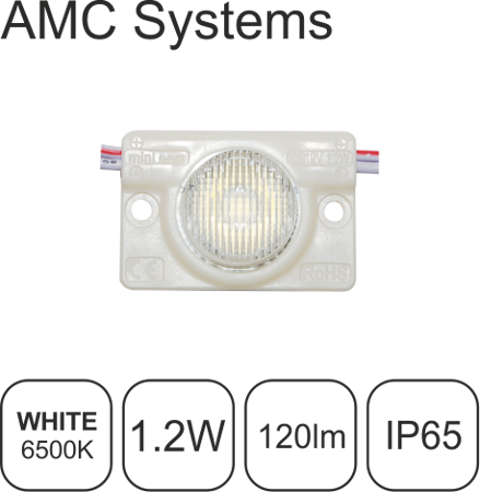 MINISEM-1.2-AMC-W