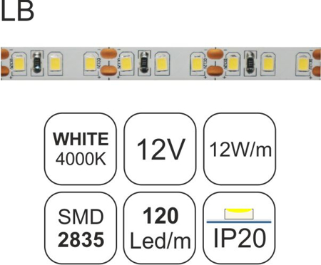 TAINIA W40-12W-LB-12V-3y-IP20