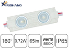 Picture of 2x160-072-RS-W55