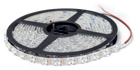 Picture of Copy of LED STRIP Lbox_1F_24V_16W/m_48LED/m_AMC-W65
