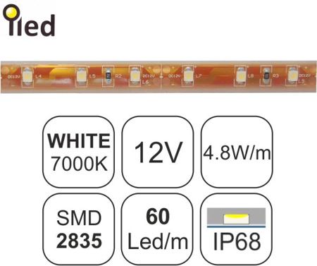 Εικόνα από TAINIA W65-4.8W-iLED-12V-60led-IP68